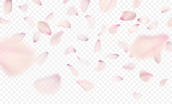 Fondo de pétalos de sakura rosa. Ilustración vectorial — Vector de stock