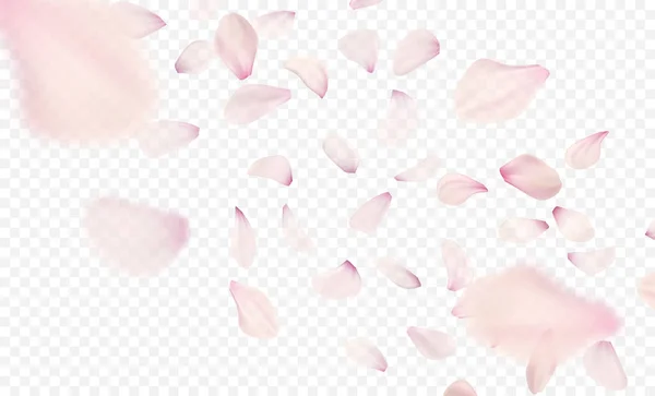 Fondo de pétalos de sakura rosa. Ilustración vectorial — Vector de stock