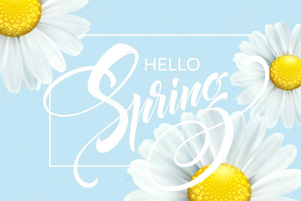 Calligraphic inscription Hello Spring with spring flower - blooming white daisy. Vector illustration