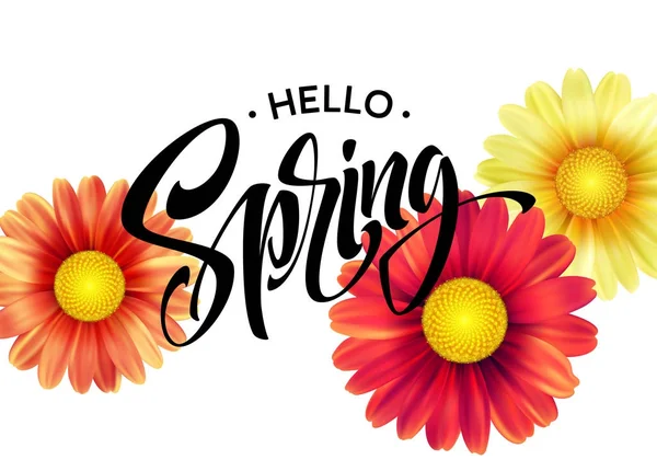 Fundo Daisy Flower e Hello Spring Lettering. Ilustração vetorial — Vetor de Stock