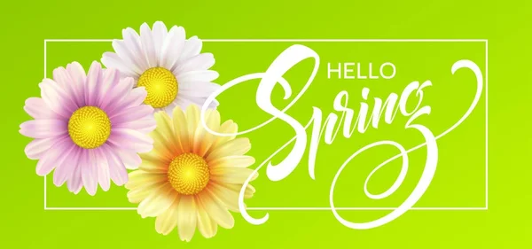 Daisy Flower Background and Hello Spring Lettering (en inglés). Ilustración vectorial — Vector de stock