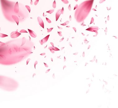 Pembe sakura yaprakları arka plan düşüyor. Vektör çizim