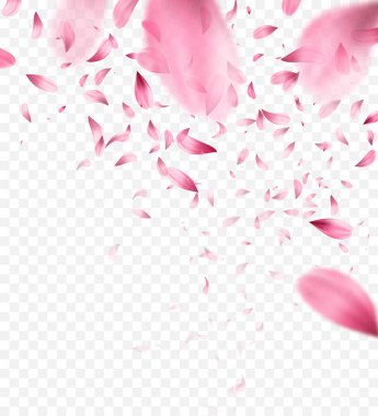 Pink sakura falling petals background. Vector illustration clipart