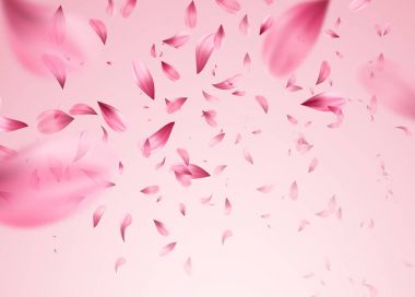 Pembe sakura yaprakları arka plan düşüyor. Vektör çizim