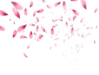 Pink sakura falling petals background. Vector illustration clipart