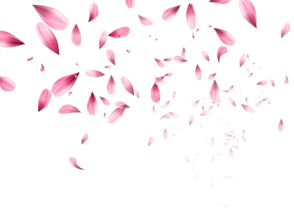 Pink sakura falling petals background. Vector illustration — Stock Vector