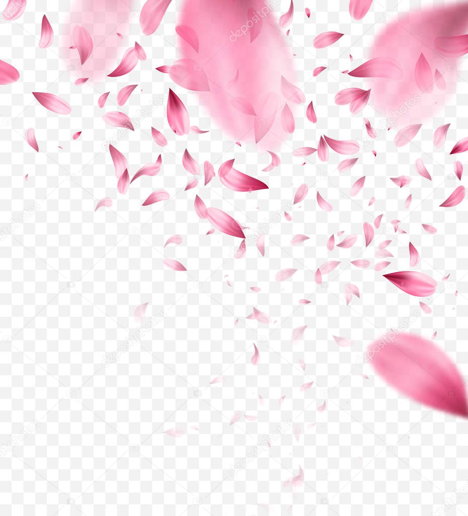 Pink sakura falling petals background. Vector illustration