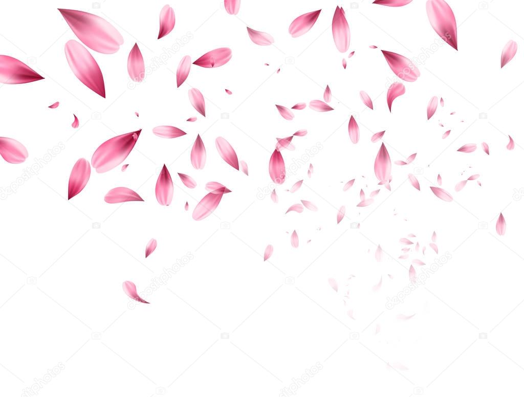 Pink sakura falling petals background. Vector illustration