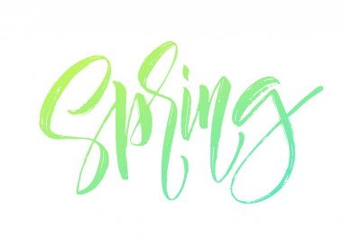 Spring handwritten lettering. Beautiful modern calligraphy. Isolated on white for easy use. Vector illustration clipart