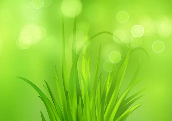 Primavera fundo verde brilhante com grama fresca primavera. Efeito Borrão e Bokeh. Ilustração vetorial — Vetor de Stock