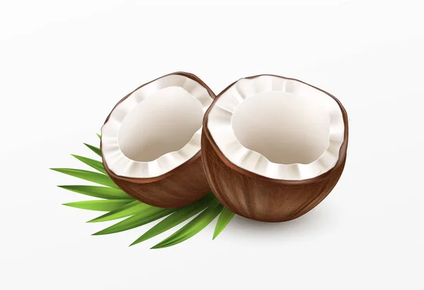 Sliced Coconut Isolated on White Background. Realistic vector illustration — 스톡 벡터