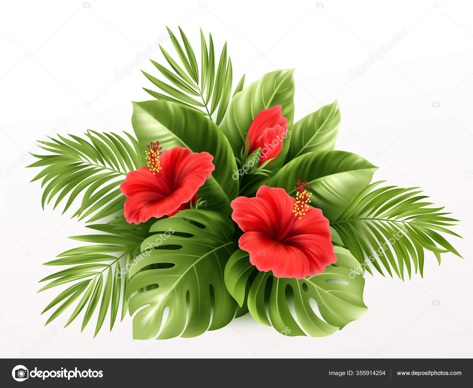Flores tropicais exóticas do hibisco e folhas do monstera, folhas da palma  das plantas tropicais isoladas no fundo branco. Ilustração vetorial imagem  vetorial de © Vik_Y #355914254