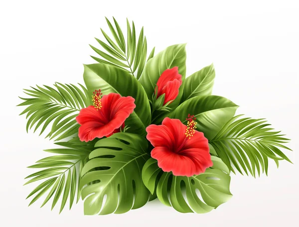 Flores tropicais exóticas do hibisco e folhas do monstera, folhas da palma das plantas tropicais isoladas no fundo branco. Ilustração vetorial — Vetor de Stock