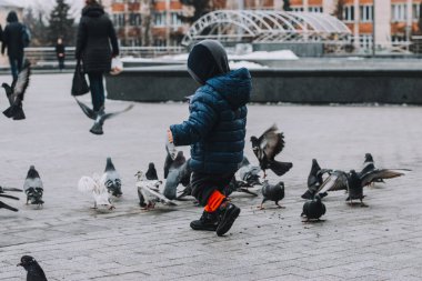 Çocuk parkta güvercin besleme. mutlu çocuk açık