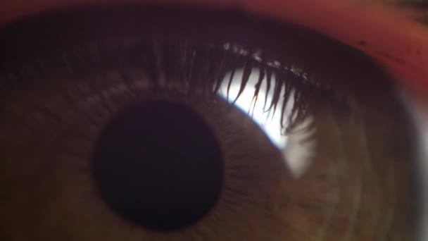 Extreme close-up menselijk oog iris — Stockvideo