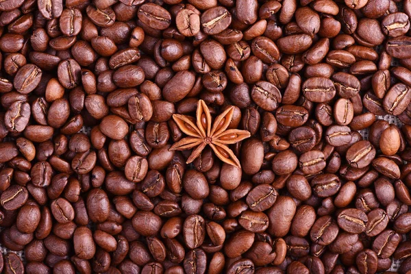 Yıldızlı kahve çekirdekleri.
