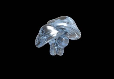 Yarı saydam mantar siyah bir arka plan üzerinde izole