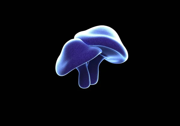 Blauw met witte rand paddestoelen geïsoleerd op een zwarte achtergrond — Stockfoto