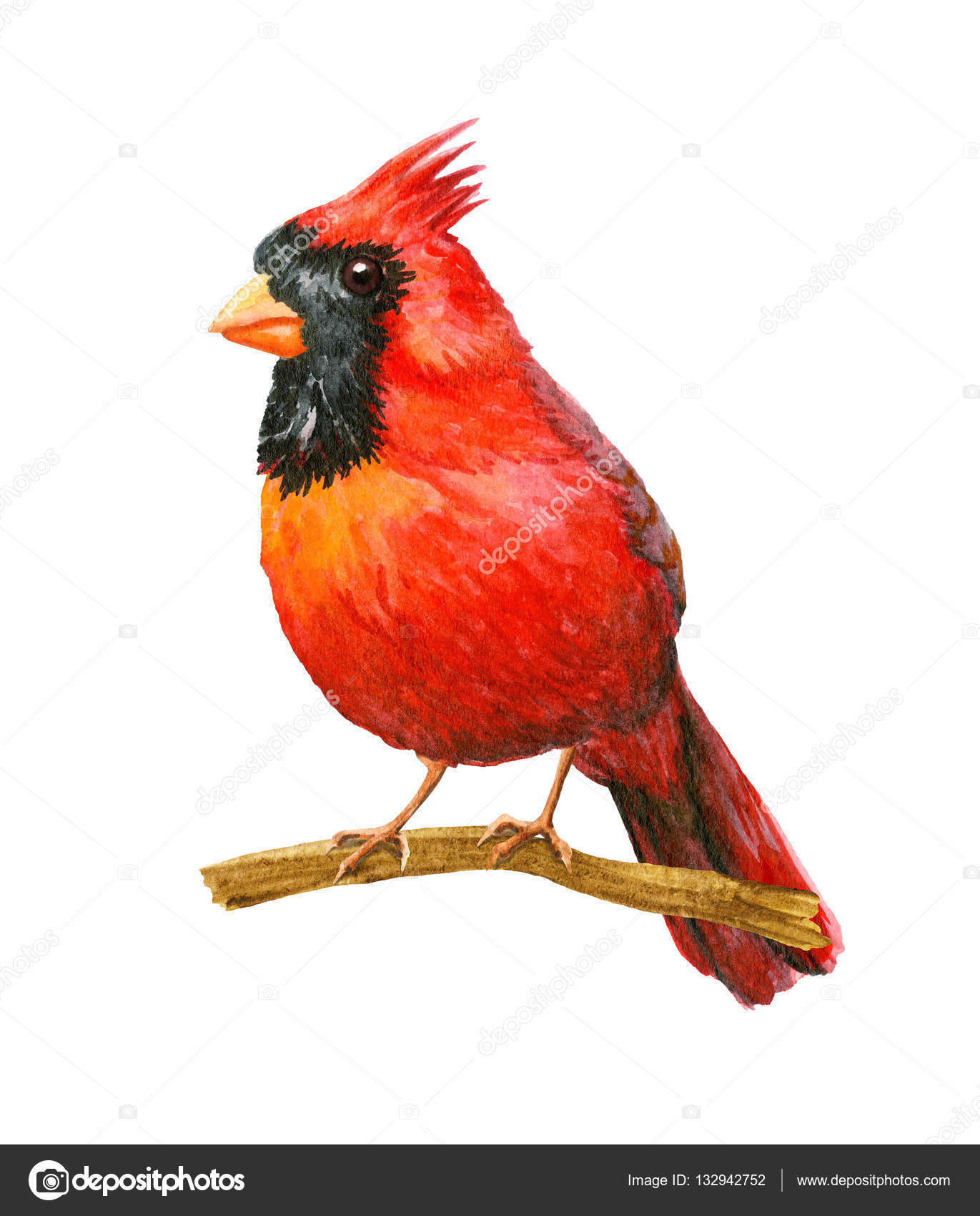 無料ダウンロード赤い 鳥 イラスト アニメ画像 無料ダウンロード赤い 鳥 イラスト アニメ画像
