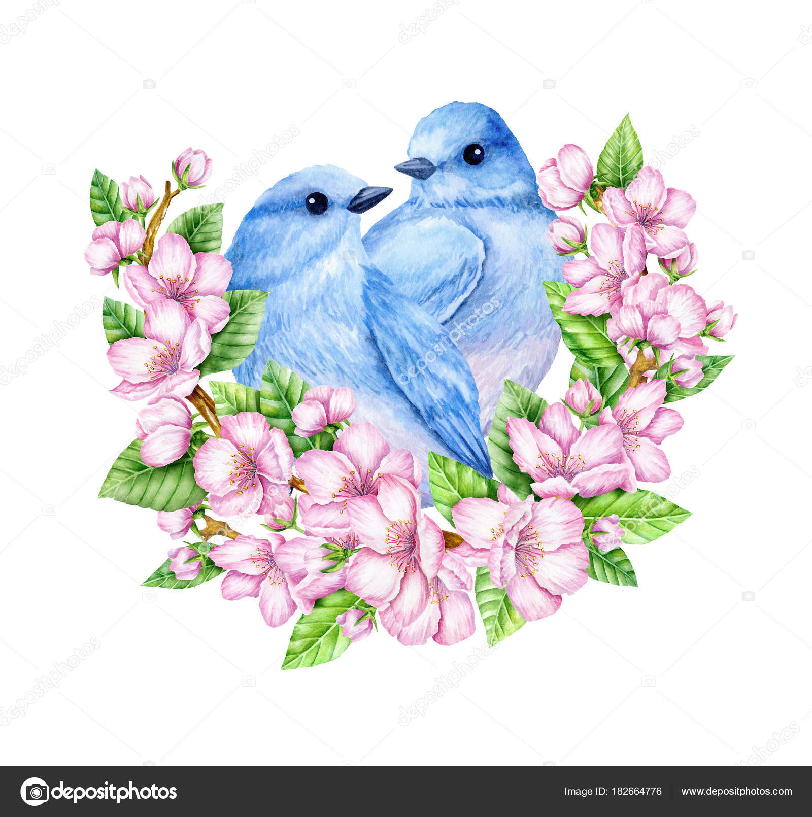 動物画像無料 最高の青い鳥 いらすとや 動物画像無料 最高の青い鳥 いらすとや