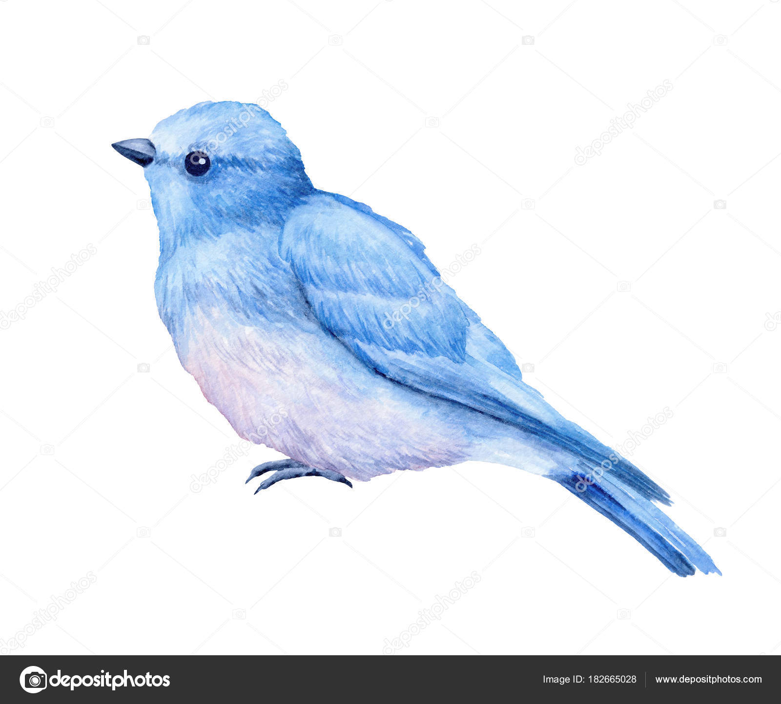 動物画像無料 最高の青い鳥 いらすとや