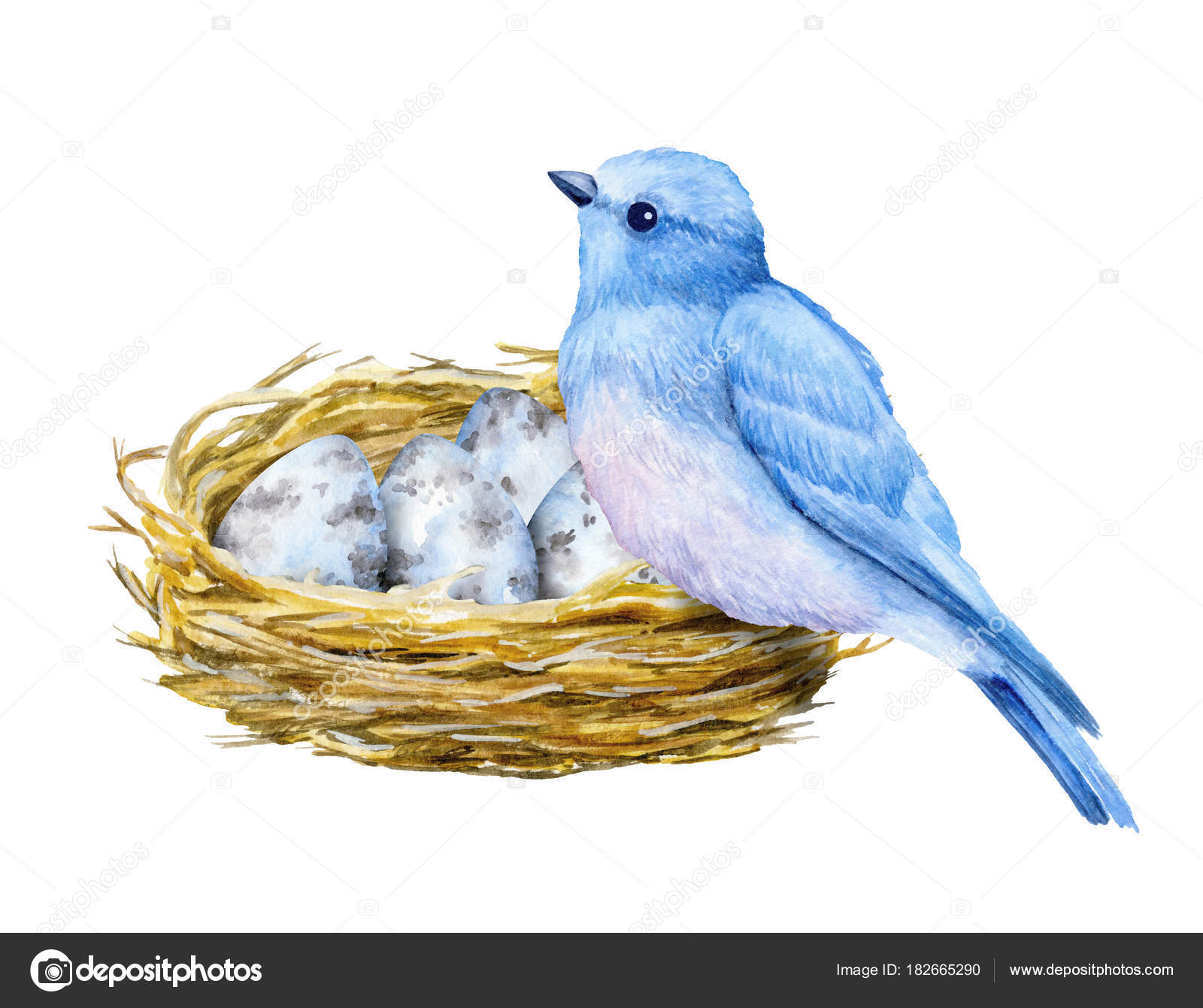 すべての動物の画像 トップ100 鳥の巣 イラスト 無料 すべての動物の画像 トップ100 鳥の巣 イラスト 無料