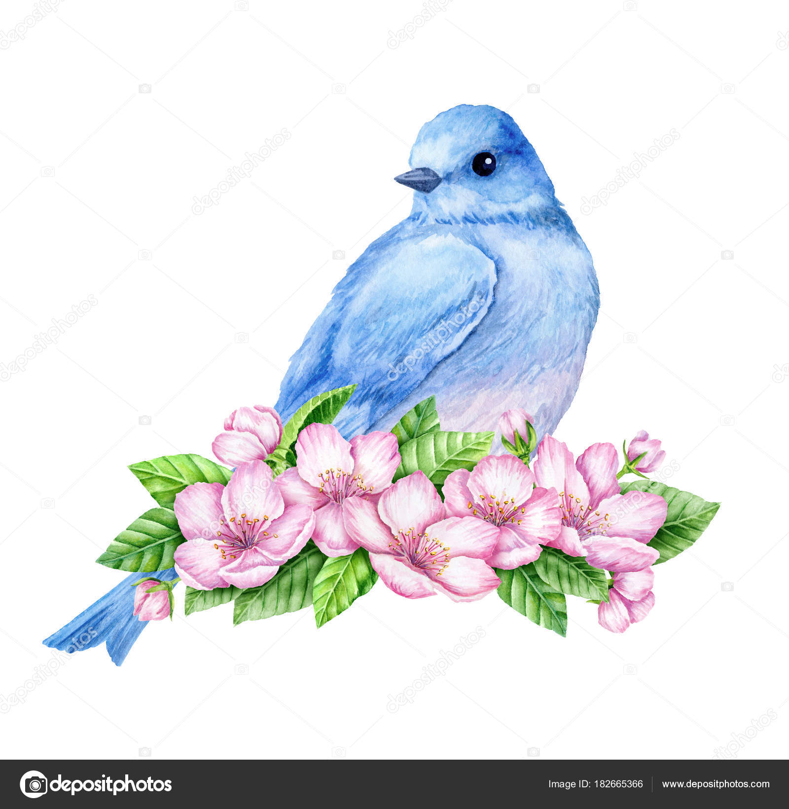 最高の動物画像 エレガント青い鳥 イラスト