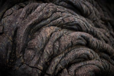 lav akışı ayrıntılı