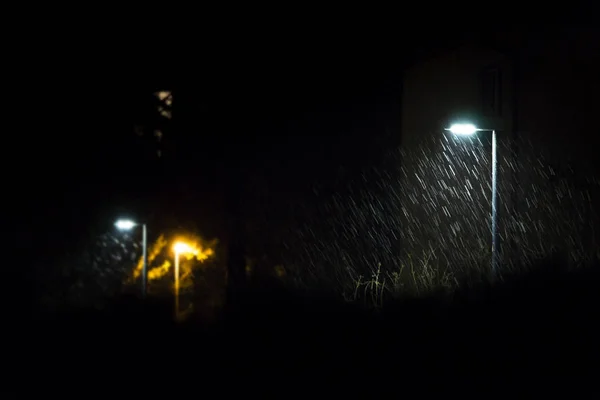 最初の雪の夜 — ストック写真