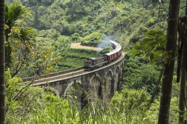 Dokuz arche köprüde, Ella, Sri Lanka tren