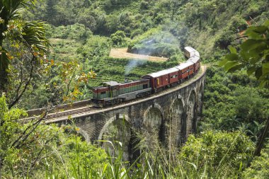 Buharlı tren ormanda, Ella, Sri Lanka