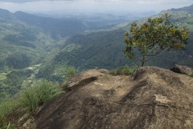 Ella Rock view into the valley, Ella, Sri Lanka clipart