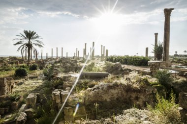 Lastik, ekşi, Lübnan harabelerde yağmur sonra güneş