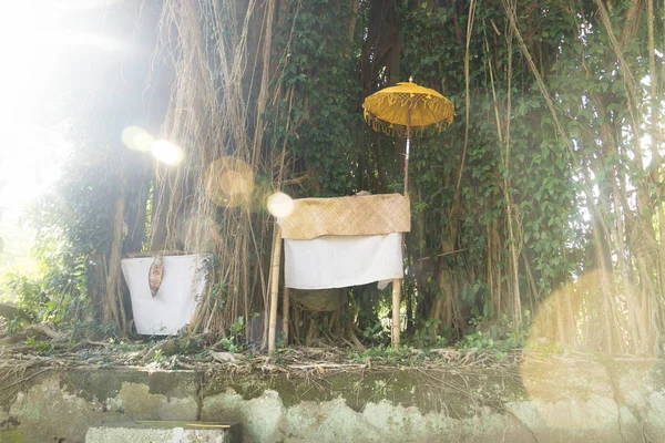 バックライト、プラ Samuan ティガ、バリ島、インドネシアのバリ島でバリの寺院の大きなツリーの前で神社します。 — ストック写真