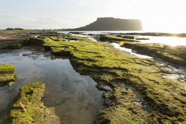 Seongsan-RI Ilchulbong volkan, Jeju Adası, Güney Kore için manzaralı gündoğumu