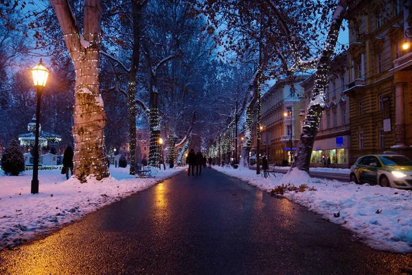 Zagreb, Kroatië: 6 januari 2016: voetpad met gedecoreerde bomen in Zrinjevac Park in Zagreb's nachts in de winter met sneeuw — Stockfoto