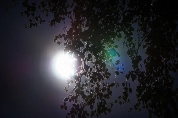 Pleine lune rayonnante avec des feuilles sur le côté droit et couvrant la partie droite de la lune, Autriche — Photo
