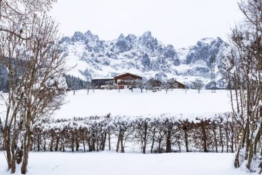 Wilder Kaiser mountainrange arasında karla ağaçlar, gidiş am Wilden Kaiser, Tyrol, Avusturya