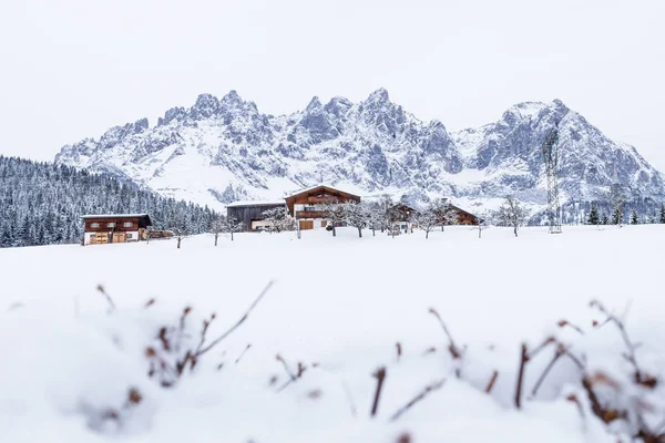 Wilder Kaiser mountainrange kar ve dalları ile gidiş am Wilden Kaiser, Tyrol, Avusturya