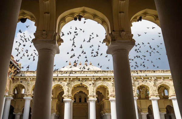 Colombes volantes au palais de Madurai, Inde — Photo