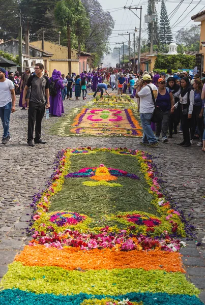 Alfombre, alfombras de flores seguidas en las calles adoquinadas 1a Avenida para la procesión San Bartolomé de Becerra, Antigua Guatemala —  Fotos de Stock