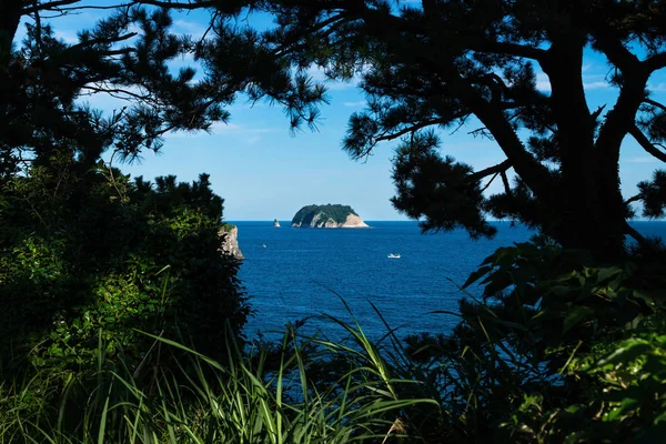 Munseom island surrounded by Pine trees, Seogwipo, Jeju Island, Korea — Stock Photo, Image