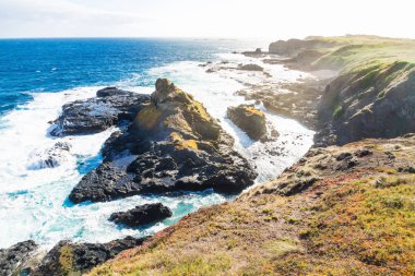 Okyanusa Nobbies, Phillip Island, Avustralya Rock Southpoint uyanık görüntülemek