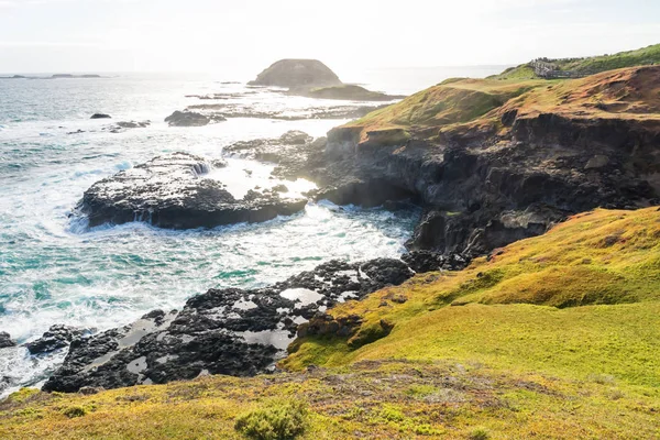 Volcanic rocks in the ocean along green cliffs at the Nobbies at Phillip Island, Victoria, Australia — Stock Photo, Image