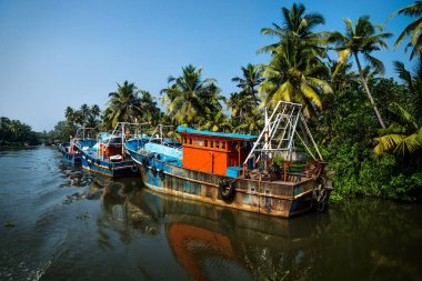 Kerala kanalı boyunca uzanan okyanus balıkçı tekneleri Alappuzha ve Kollam, Hindistan arasında palmiye ağaçları bulunan durgun kıyılar.