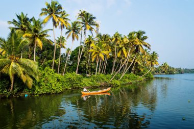 Hindistan 'ın Kerala durgun sularındaki Kollam kottapuram su yolu boyunca nehir kenarındaki bir kanoda yerli bir adam.