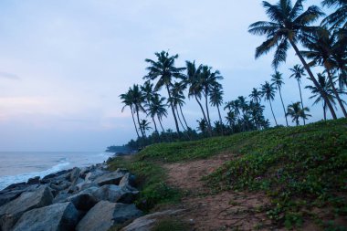 Hindistan, Varkala 'daki palmiye ağacı sahilinde mavi saat.