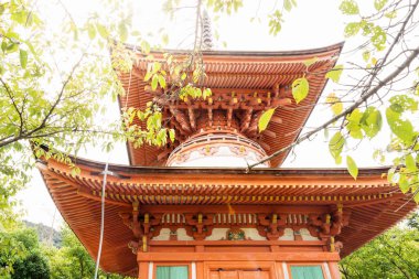 Tahoto pagoda, güneş ışığıyla parıldıyor merceklerle, Miyajima, Japonya
