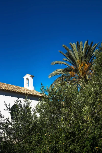 Kilise Ermita de Sant Antoni y Sant Jaume Palmiye ağacı ve yeşil bitkiler arasında dikey Cap Blanche, Altea, İspanya