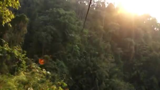 Zip Lijnvlucht Naar Groene Jungle Tijdens Zonsondergang Bij Gibbon Experience — Stockvideo
